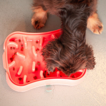 Marley Slowappy Slow Feeder  Bowl - Warm Ocean Red.