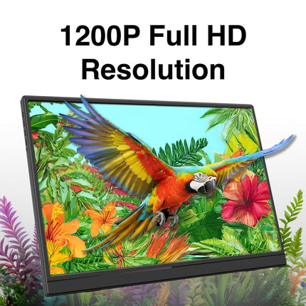 Laser 14 inch USB-C Portable Display.