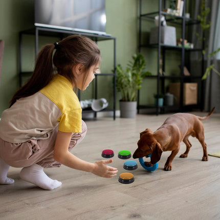 Pet Care Cartoz.