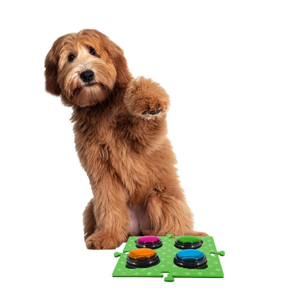 Pet Care Cartoz.
