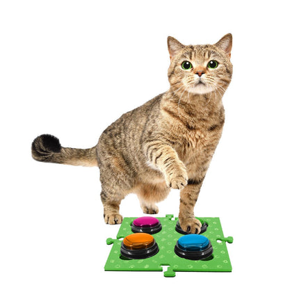 Pet Care Cartoz.