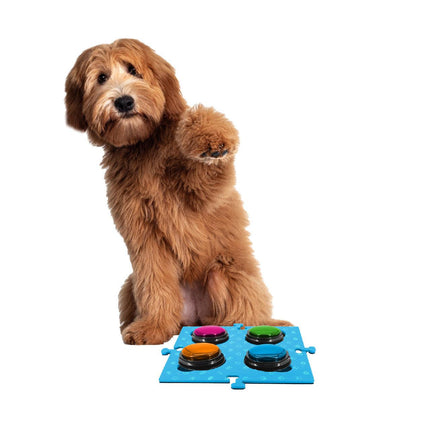 Pet Care Cartoz.