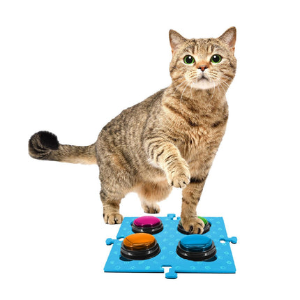 Pet Care Cartoz.