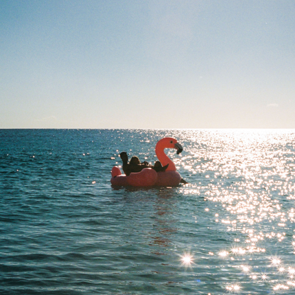Intex Mega Flamingo Inflatable Pool Island Float 57288.