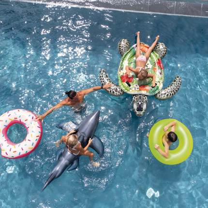 Intex Sea Turtle Realistic Giant Ride-On 57555.