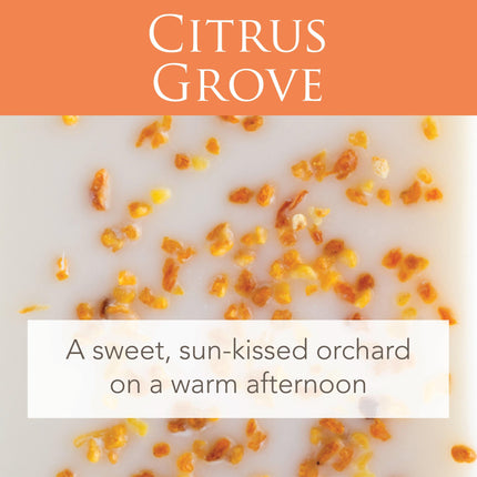 Citrus Grove 2.5 Oz Artisan Melts.