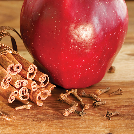 Spiced Apple Wax Melts 2.5oz.