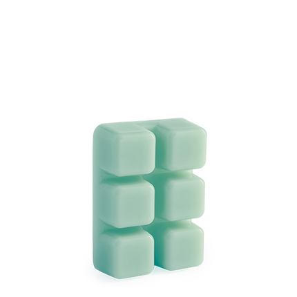 Escape to Paradise Wax Melts 2.5oz.