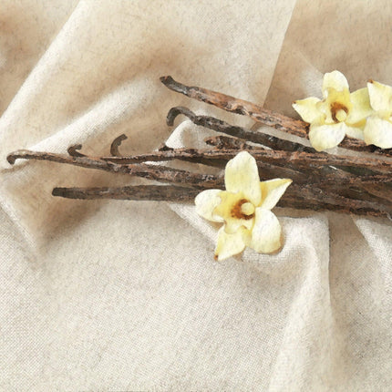 Vanilla Dream Scents.