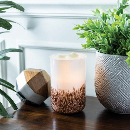 Tiger Shell Glass Illumination Warmer.