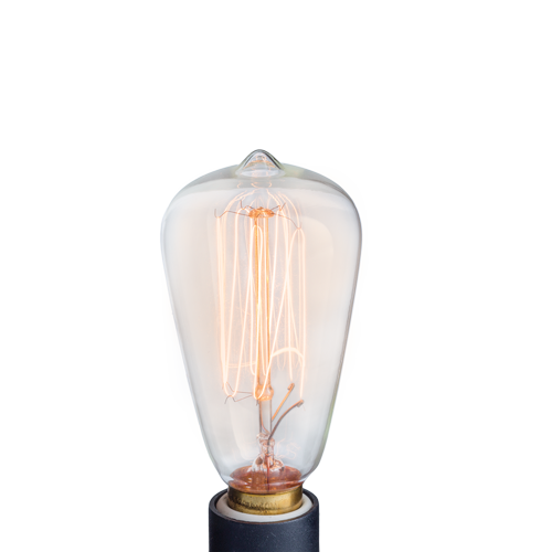 NP3 Bulb Edison.