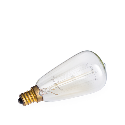 NP3 Bulb Edison.