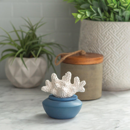 Coral Porcelain Passive Diffuser.