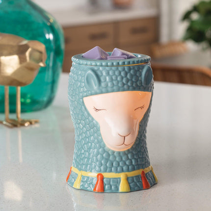 Llama Illumination Warmer.