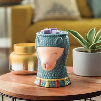 Llama Illumination Warmer.