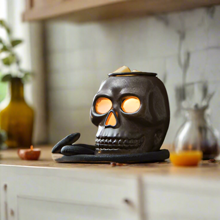 Skull Illumination Warmer.