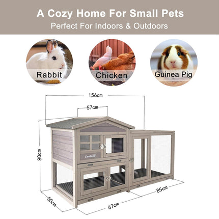 Pet Care Cartoz.