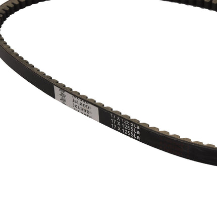 Samland 1 x 17*1255LA Belt for Wood Chipper WC420/WC420BS.