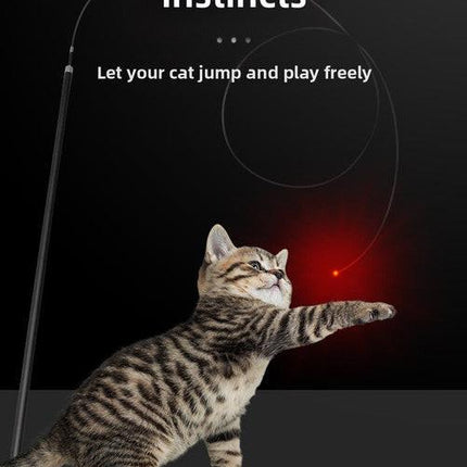 pet products Interactive LED telescopic pole cat teaser stick.