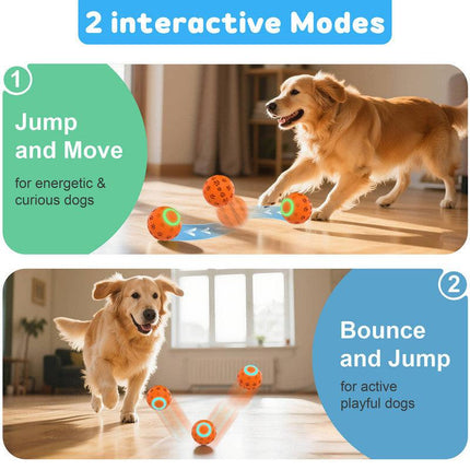pet products Pet Strong Spring Telescopic Traction Device.