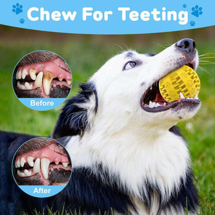 pet products Pet Strong Spring Telescopic Traction Device.