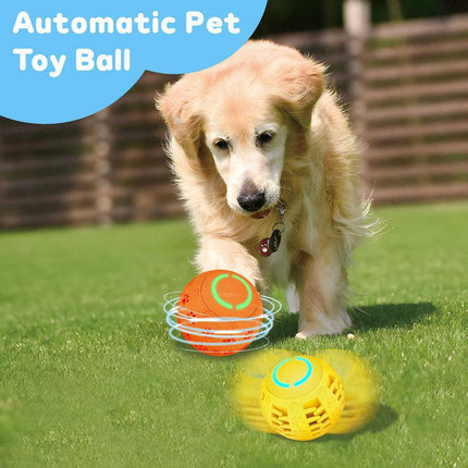 pet products Pet Strong Spring Telescopic Traction Device.