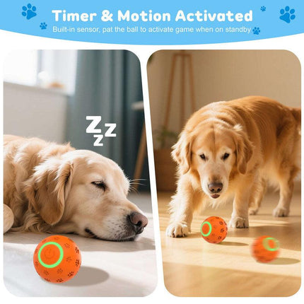 pet products Pet Strong Spring Telescopic Traction Device.