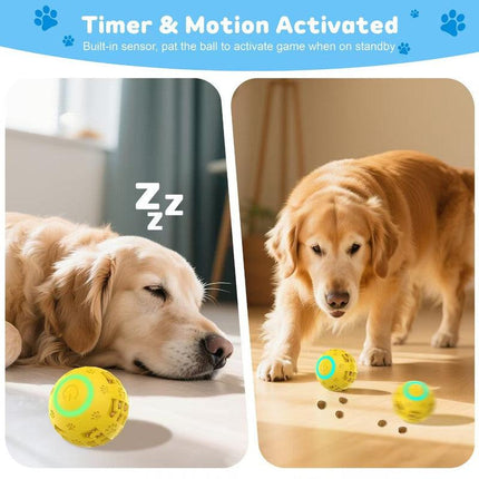 pet products Pet Strong Spring Telescopic Traction Device.