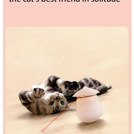 Pet products Pet Toy Cat Laser Toy Tumbler Intelligent Induction Cat Laser Rod.