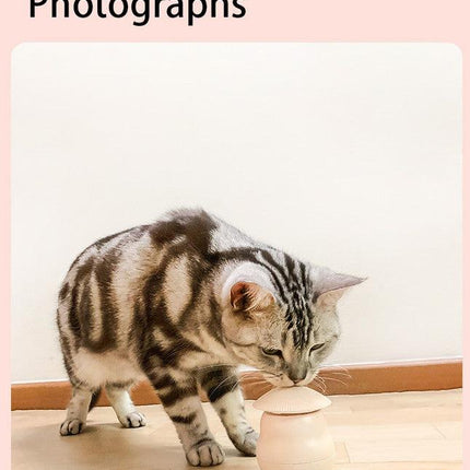 Pet products Pet Toy Cat Laser Toy Tumbler Intelligent Induction Cat Laser Rod.