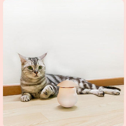 Pet products Pet Toy Cat Laser Toy Tumbler Intelligent Induction Cat Laser Rod.