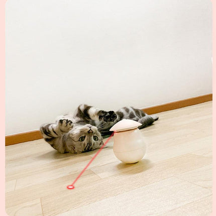 Pet products Pet Toy Cat Laser Toy Tumbler Intelligent Induction Cat Laser Rod.