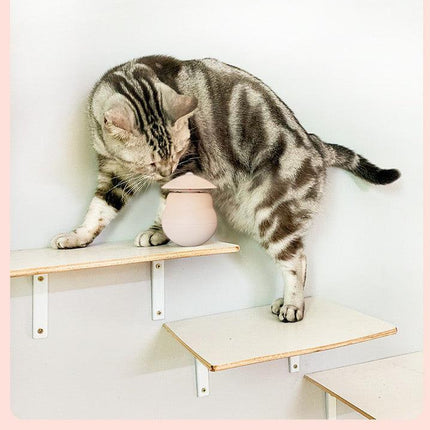 Pet products Pet Toy Cat Laser Toy Tumbler Intelligent Induction Cat Laser Rod.