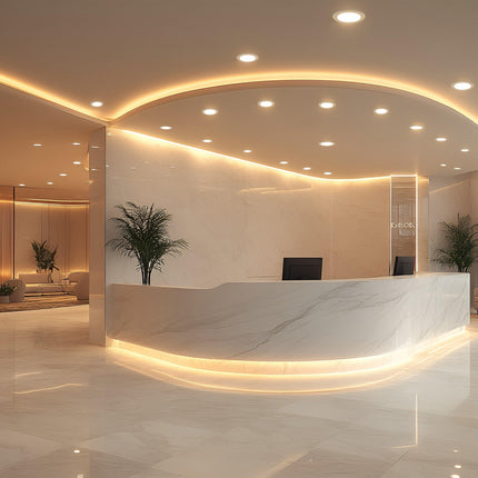 10W LED Downlight 900LM (40PCS).
