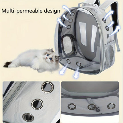 Pet Care Cartoz.