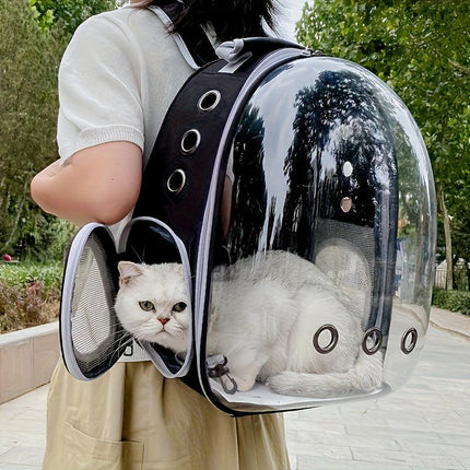 Pet Care Cartoz.