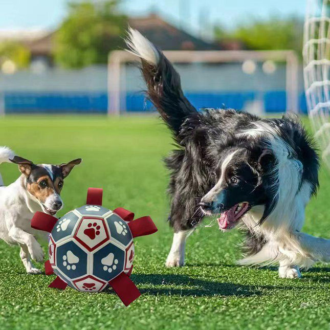 Pet Care.