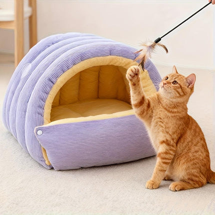 Pet Care Cartoz.