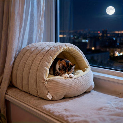 Pet Care Cartoz.