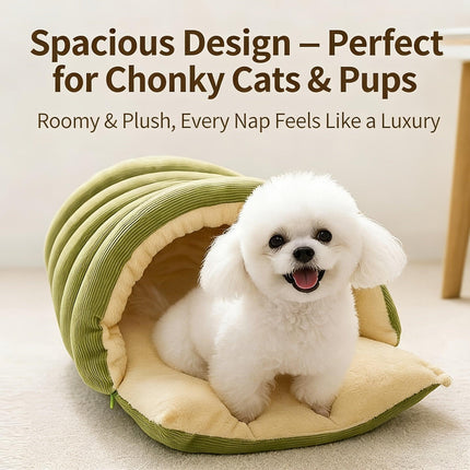 Pet Care Cartoz.