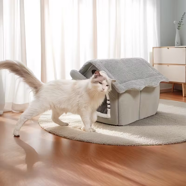 Pet Care.