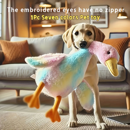 Pet Care Cartoz.