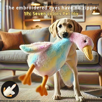 Pet Care Cartoz.