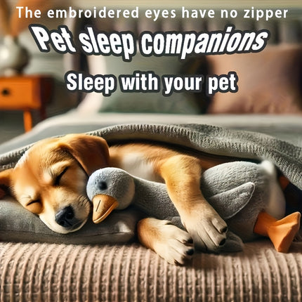 Pet Care Cartoz.