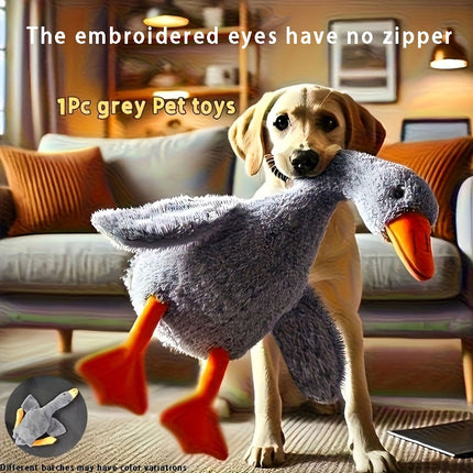 Pet Care Cartoz.