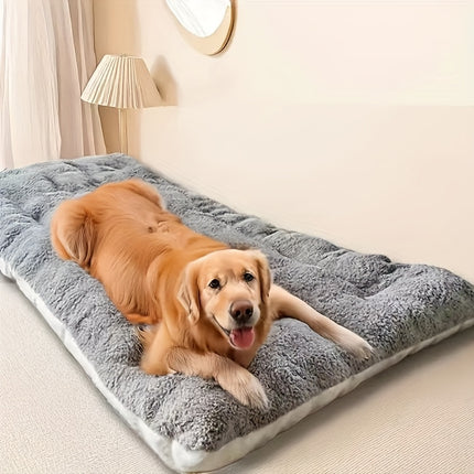 Pet Care Cartoz.
