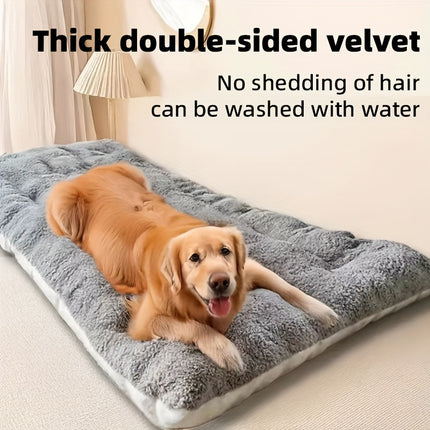 Pet Care Cartoz.