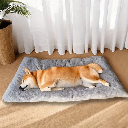 Pet Care Cartoz.