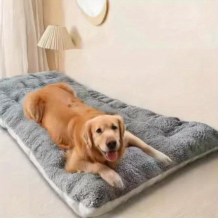 Pet Care Cartoz.