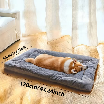 Pet Care Cartoz.